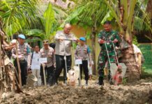 Optimalisasi Lahan Tidur, Polres Klaten dan Forkopimda Tanam Jagung Serentak