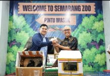 Jelang Lebaran, Semarang Zoo Tambah Koleksi Satwa