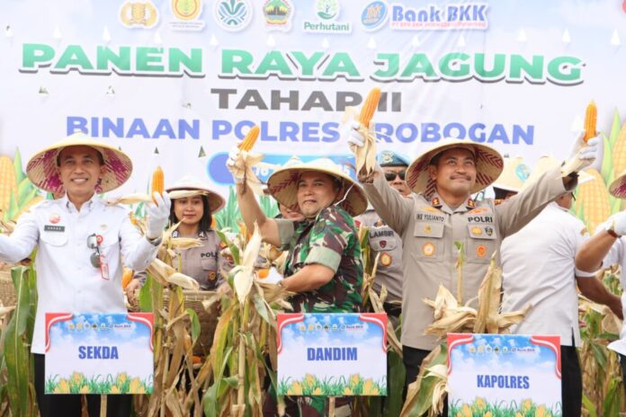 695a003e-327a-4744-819b-a1737274b789-1024x683