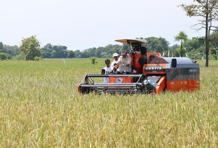 Prabowo Subianto Presiden Prabowo Hadiri Panen Raya Nasional di Majalengka, Apresiasi Keberhasilan Sektor Pertanian