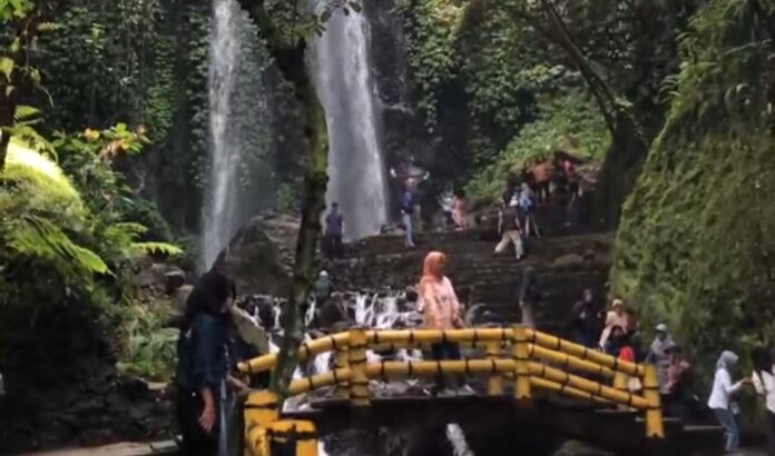 Screenshot_2025-04-02-20-21-54-528_com.whatsapp.w4b-edit