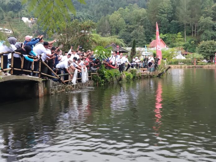 IMG-20250513-WA0113
