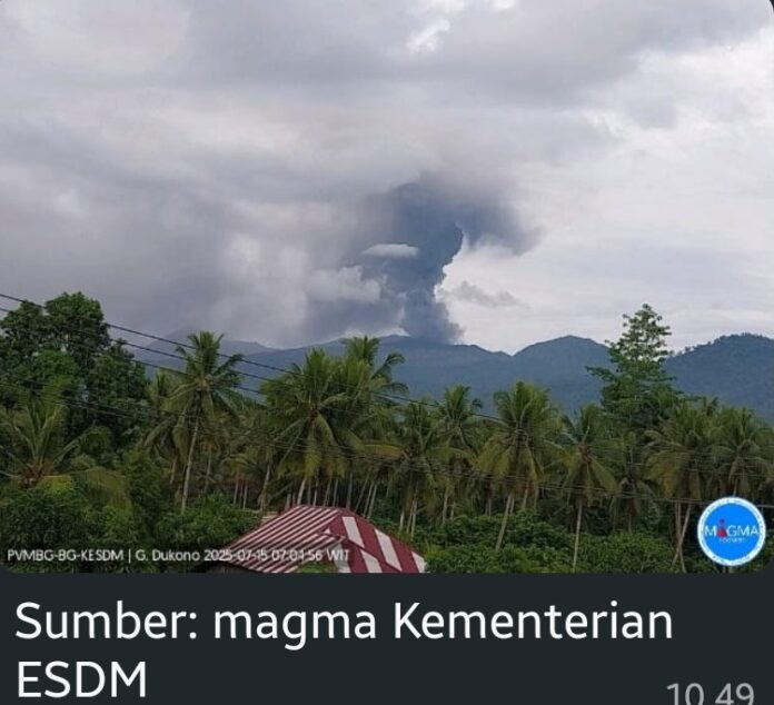 Screenshot_20250715_104934_WhatsApp